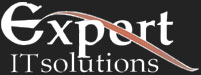 Expert I.T. Solutions Logo